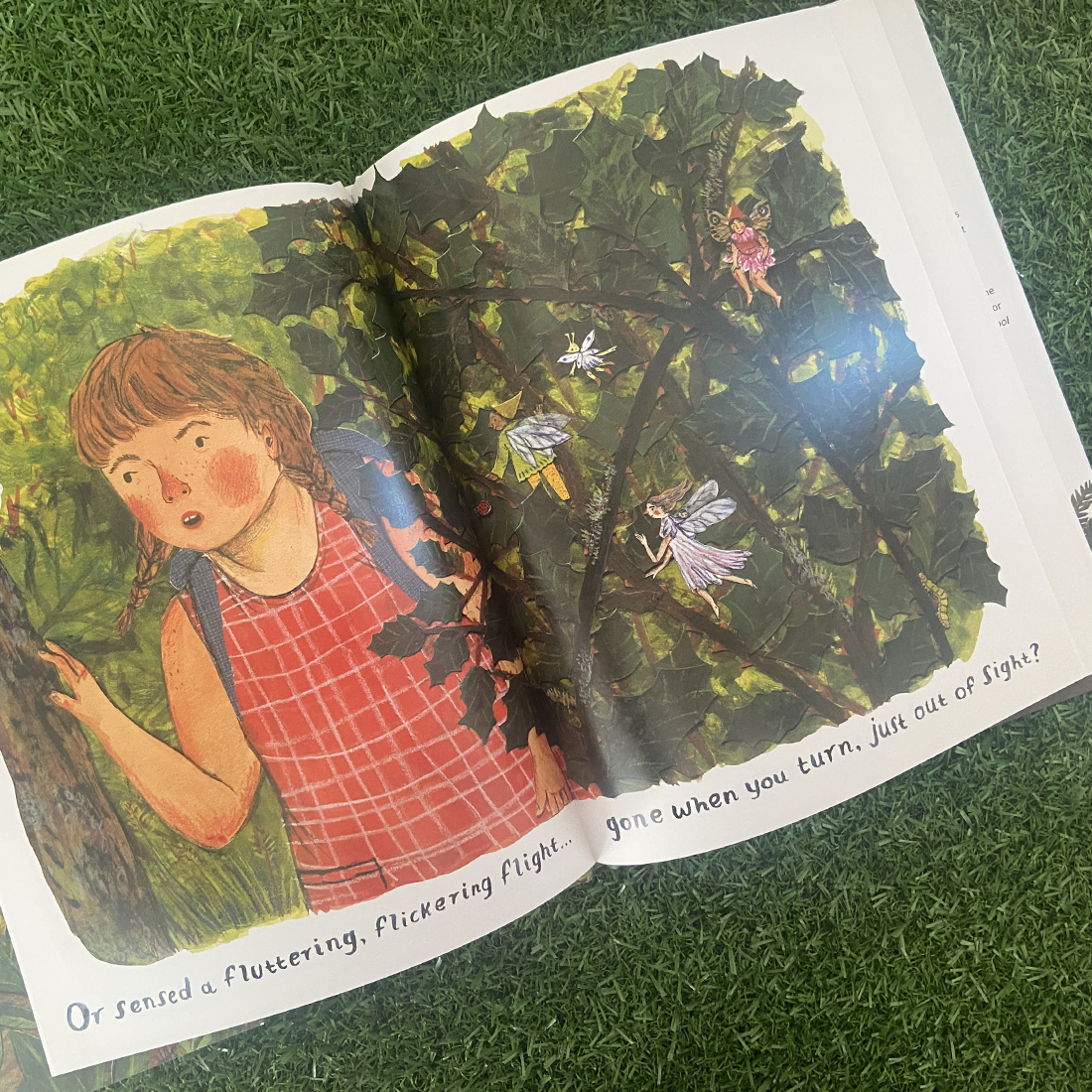 Backyard Fairies Hardback Book