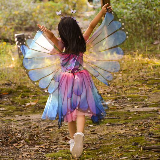 Butterfly Twirl Dress & Wings Size 5-6