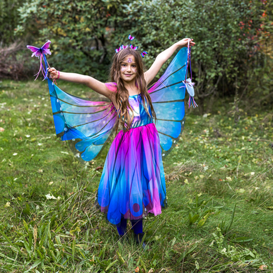 Butterfly Twirl Dress & Wings Size 5-6