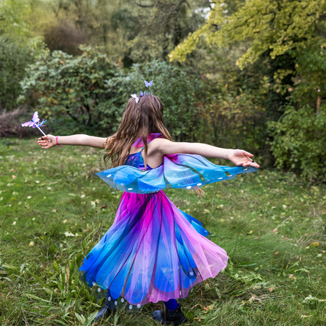 Butterfly Twirl Dress & Wings Size 5-6