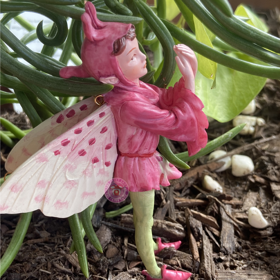 Cicely Mary Barker Orchis Fairy Flower Fairies Figurine