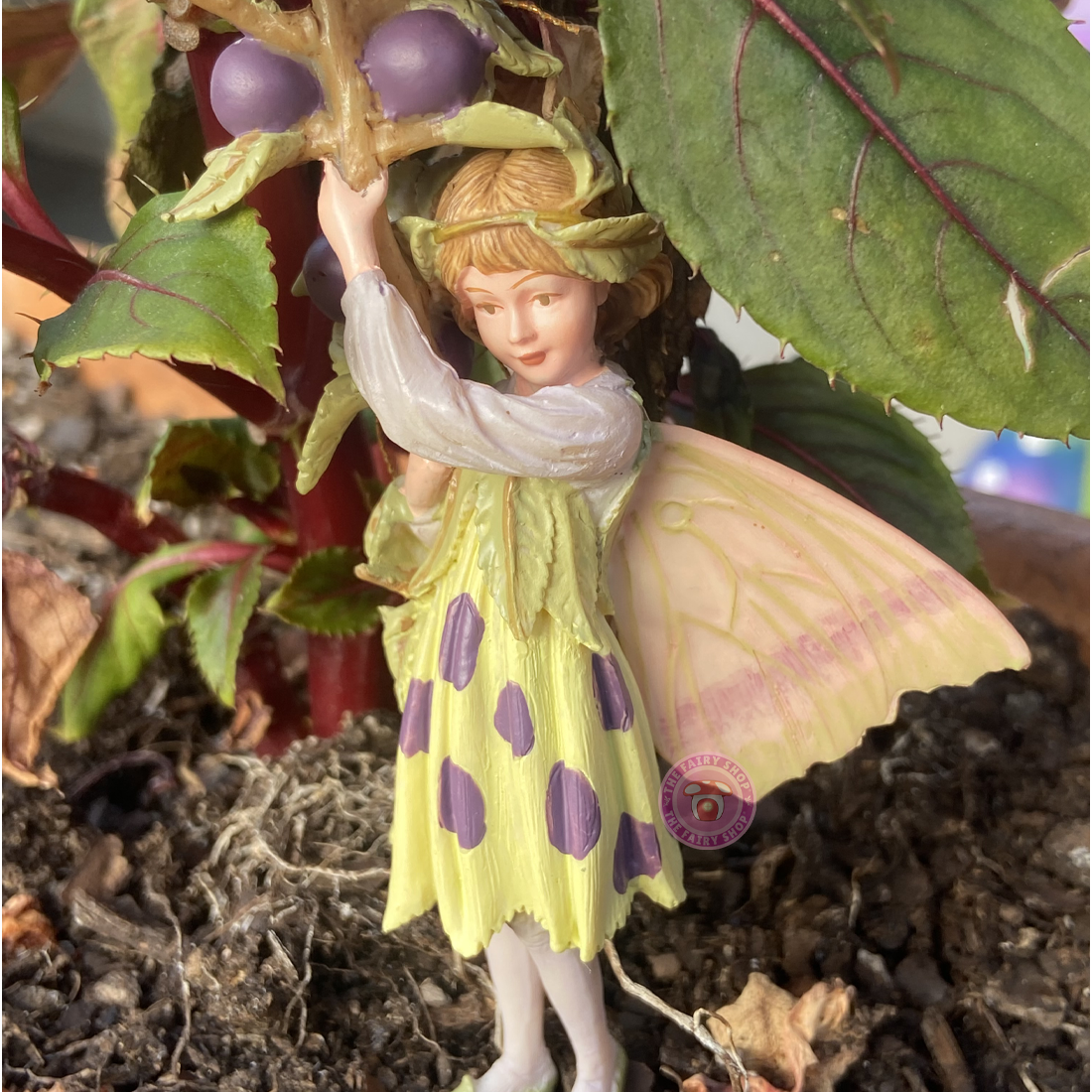 Cicely Mary Barker Sloe Fairy Flower Fairies Figurine