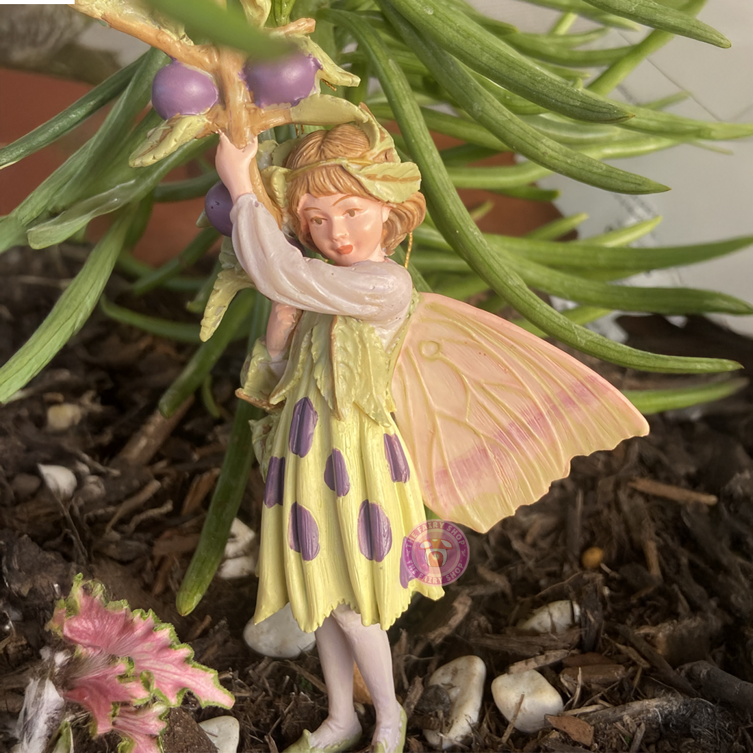 Cicely Mary Barker Sloe Fairy Flower Fairies Figurine