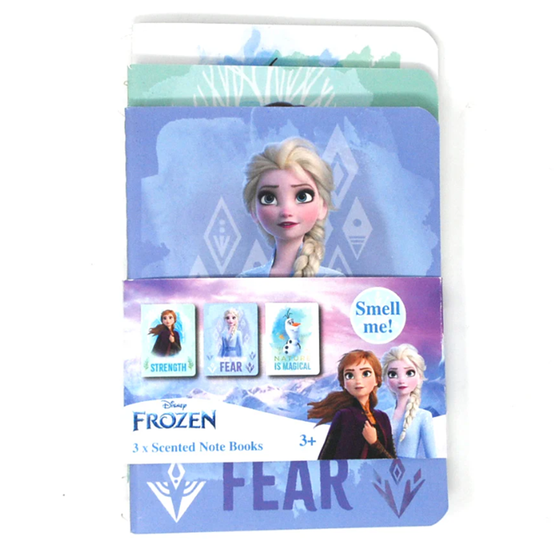 Disney Frozen 2 Nature is Magical Notebooks