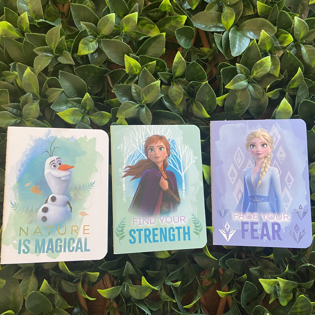 Disney Frozen 2 Nature is Magical Notebooks