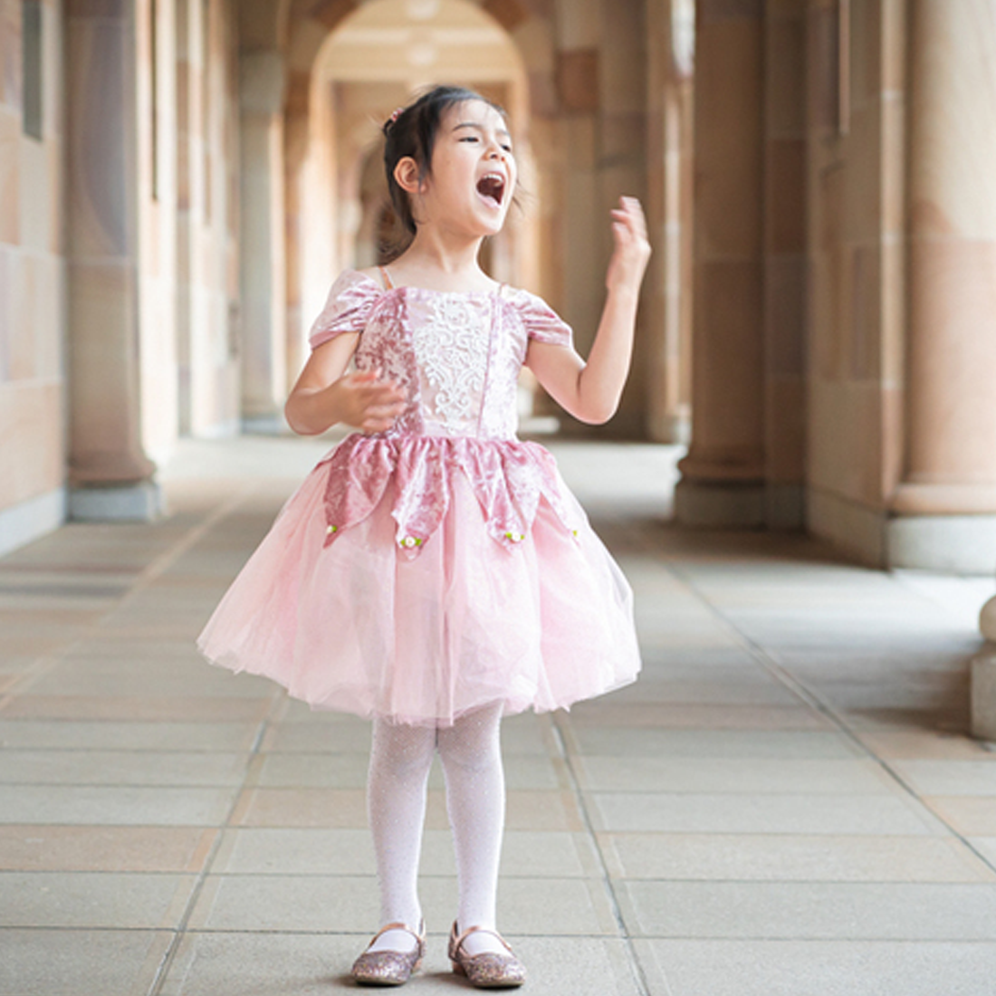 Dusty Rose Holiday Ballerina Dress