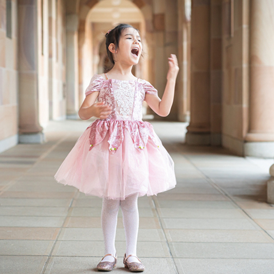 Dusty Rose Holiday Ballerina Dress