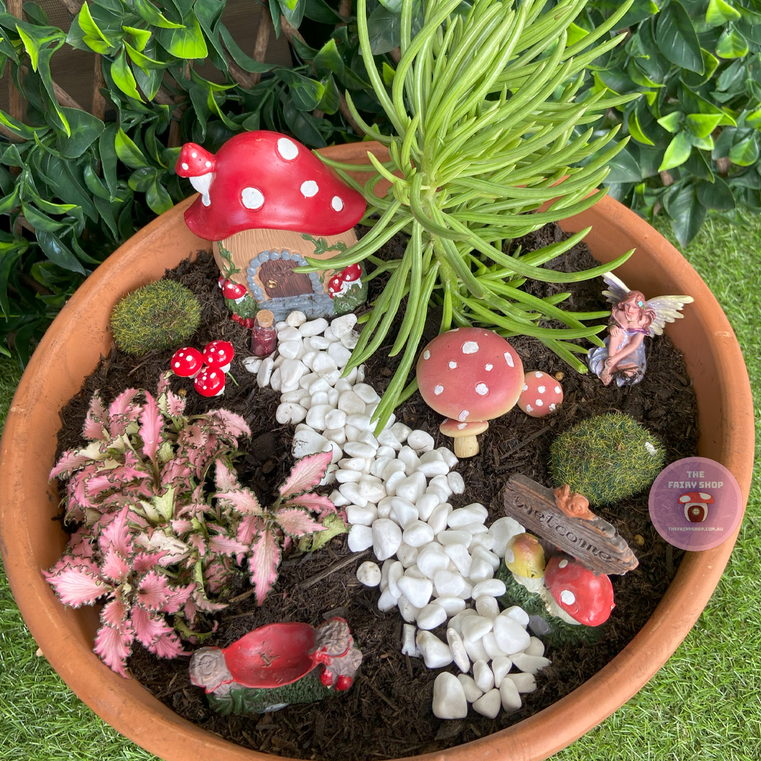 Fairy Garden Starter Kit - Mushroom Set