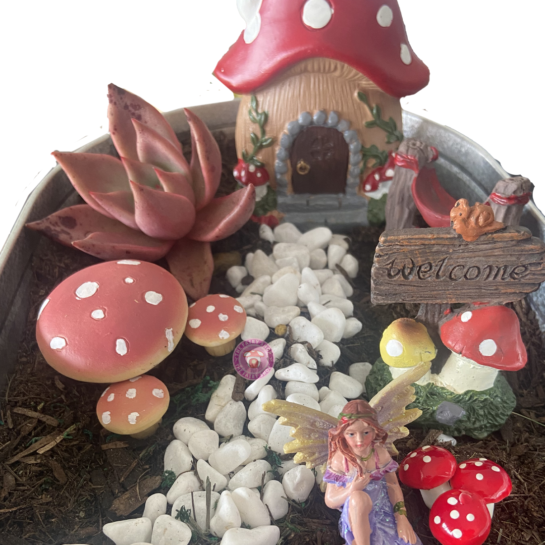 Fairy Garden Starter Kit - Mushroom Set