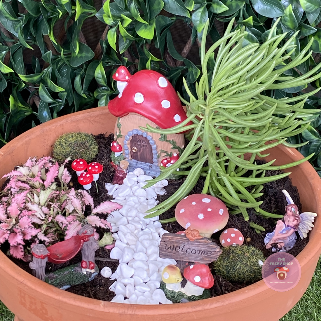 Fairy Garden Starter Kit - Mushroom Set