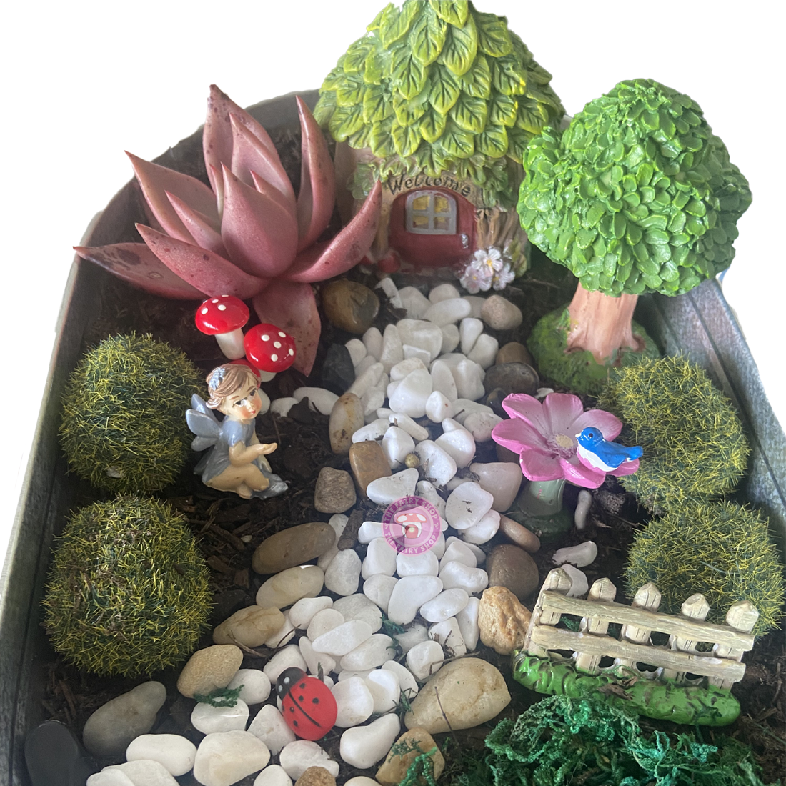 Fairy Garden Starter Kit - Welcome