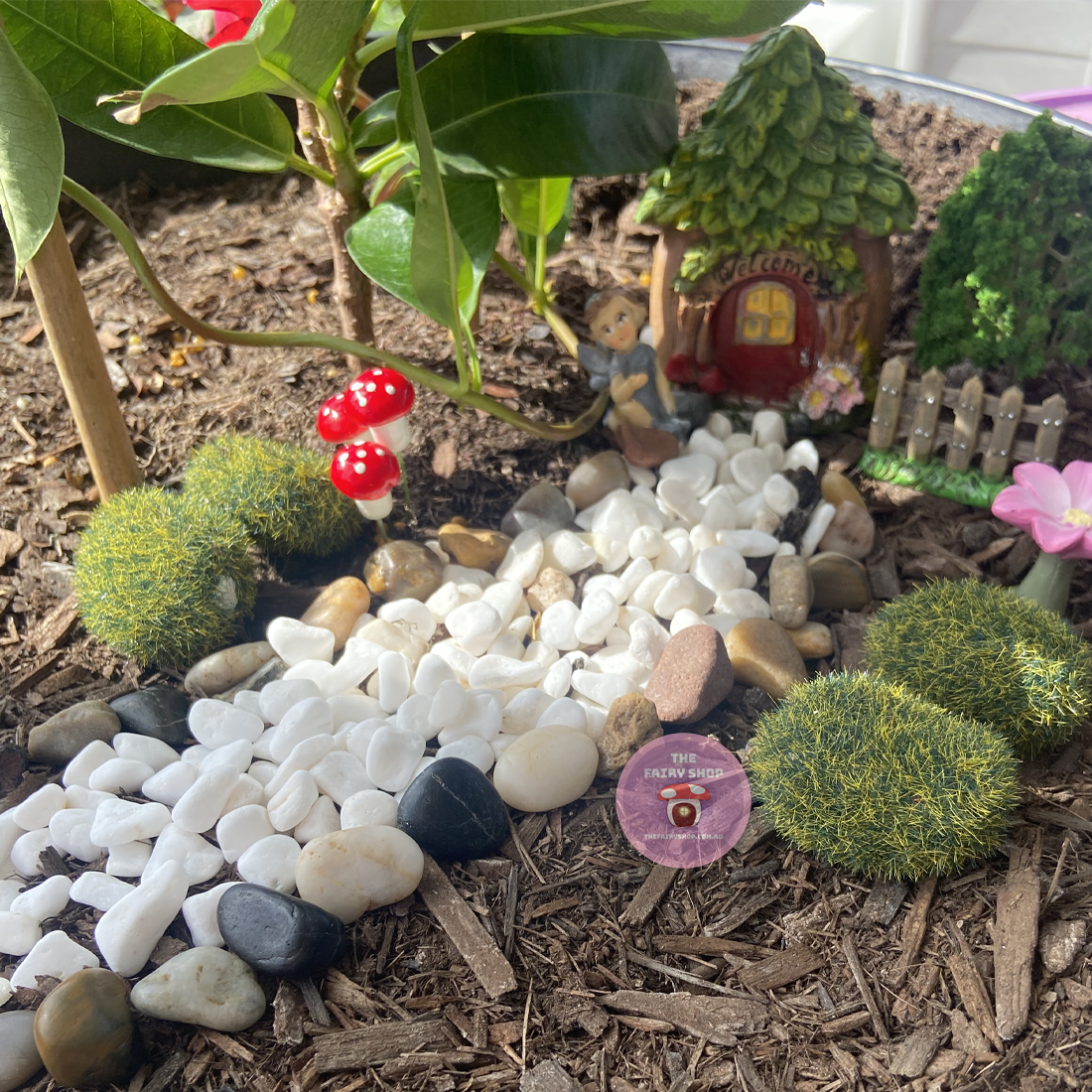 Fairy Garden Starter Kit - Welcome