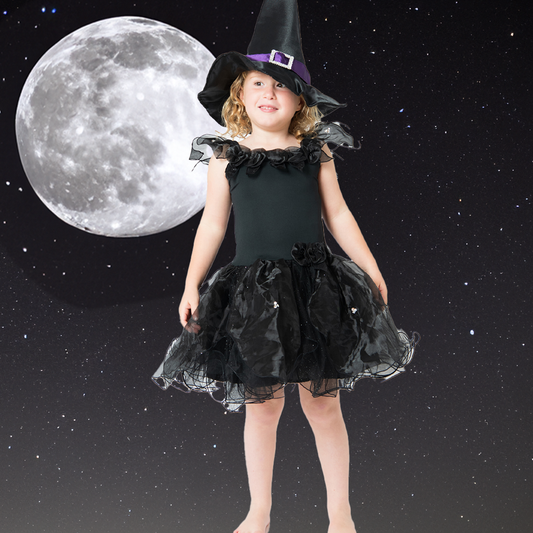 Girls Hocus Pocus Halloween Black Witch Fairy Dress