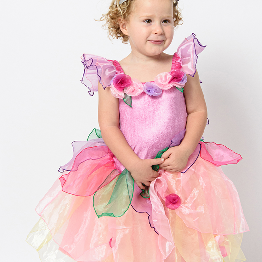 Girls Paris Daisy Fairy Dress