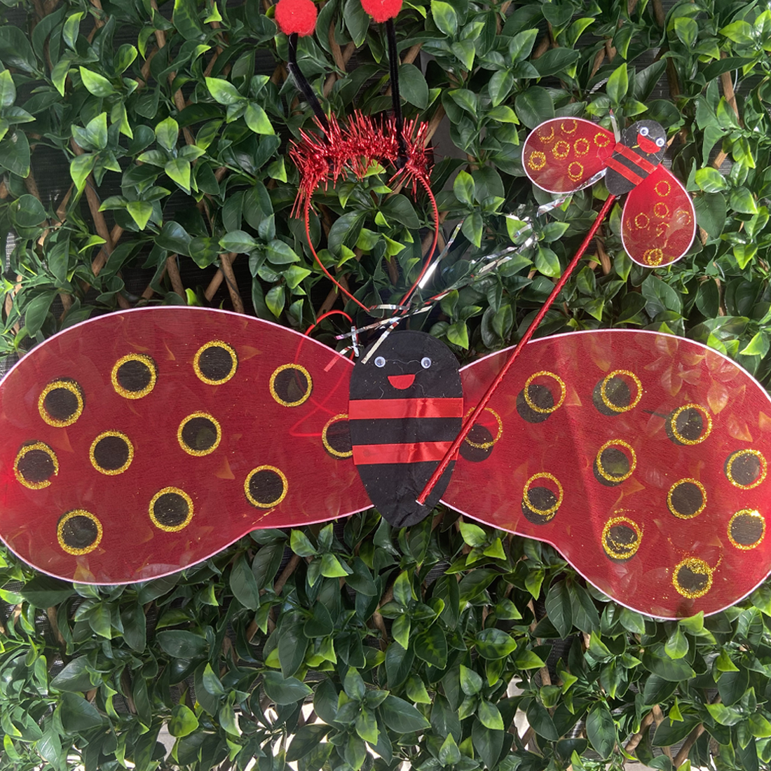 Ladybug Fairy Wings with Headband and Wand