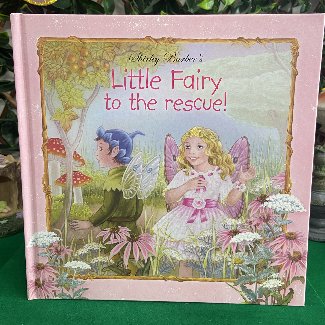 Little Fairy To The Rescue Hardback Book by Shirley Barber