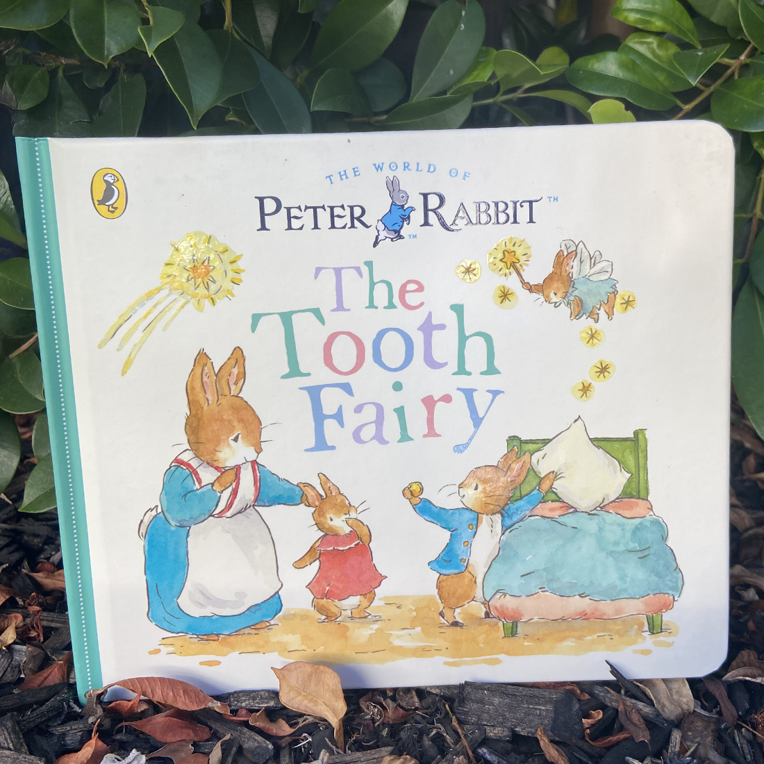 Peter Rabbit Tales: The Tooth Fairy