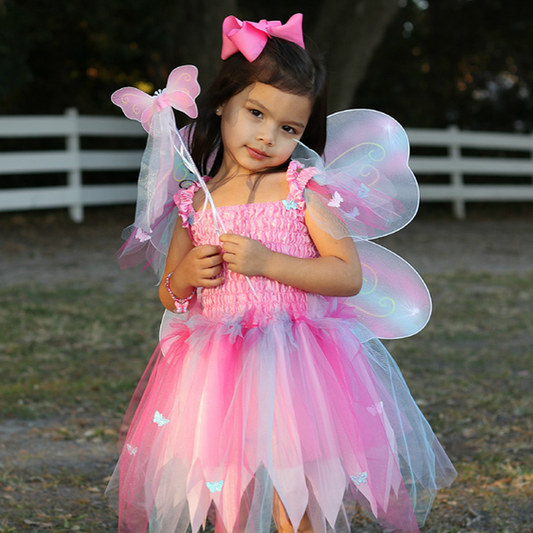 Pink Butterfly Dress & Wings with Wand - Size 5-6