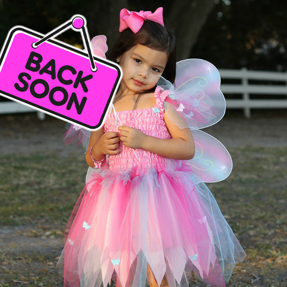 Pink Butterfly Dress & Wings with Wand - Size 5-6