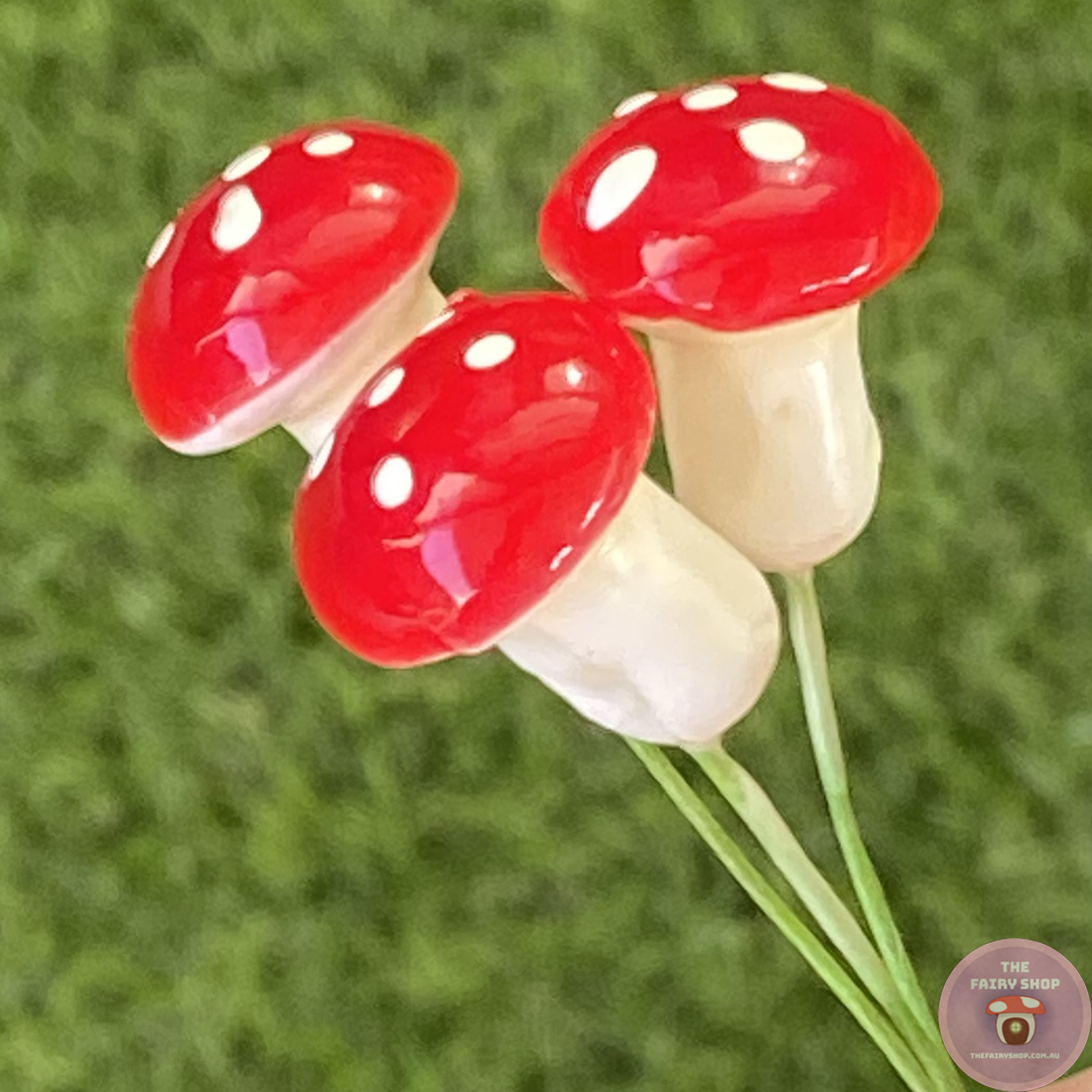 Set of 3 - Miniature Mushrooms