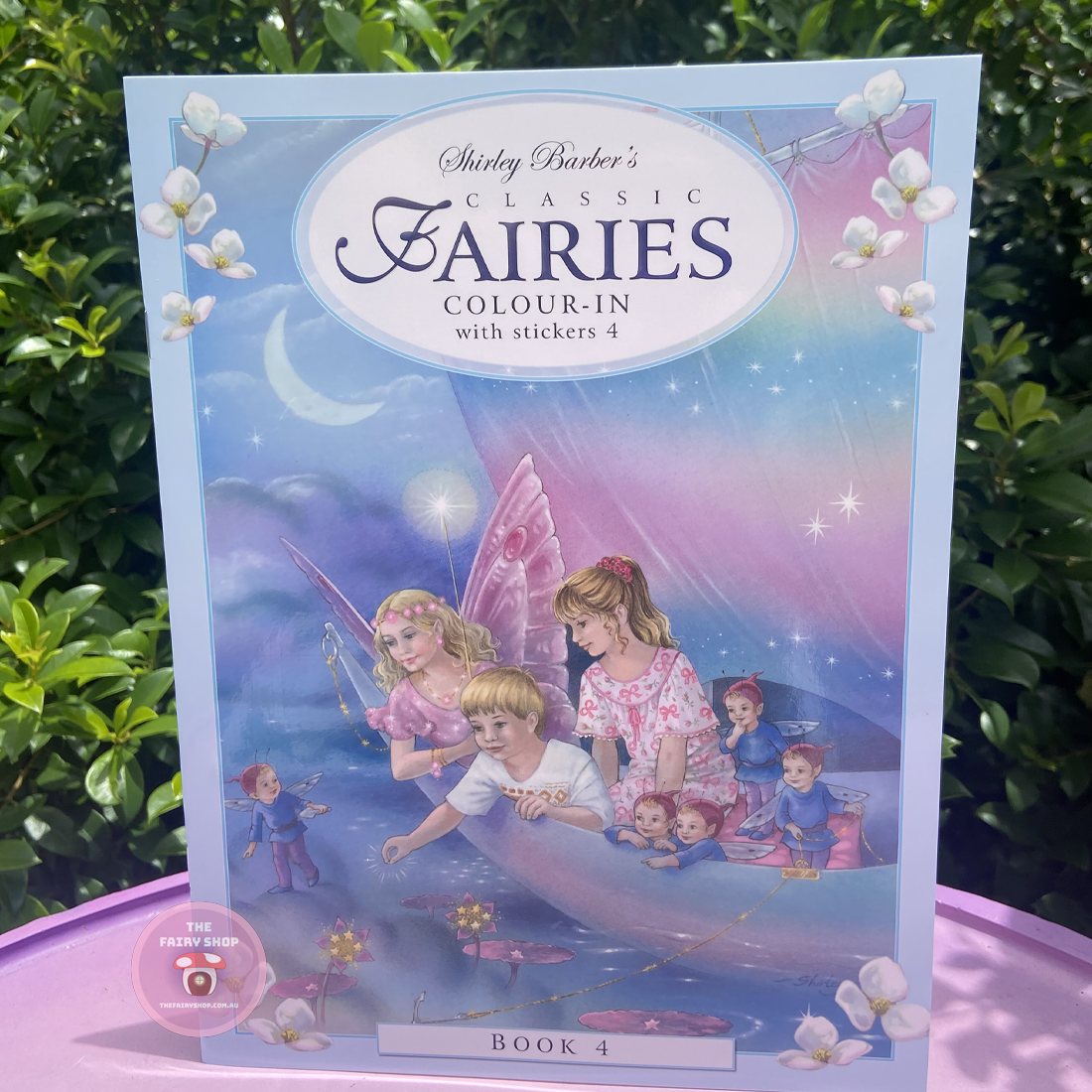 Shirley Barber's Classic Fairies Colour In With Stickers