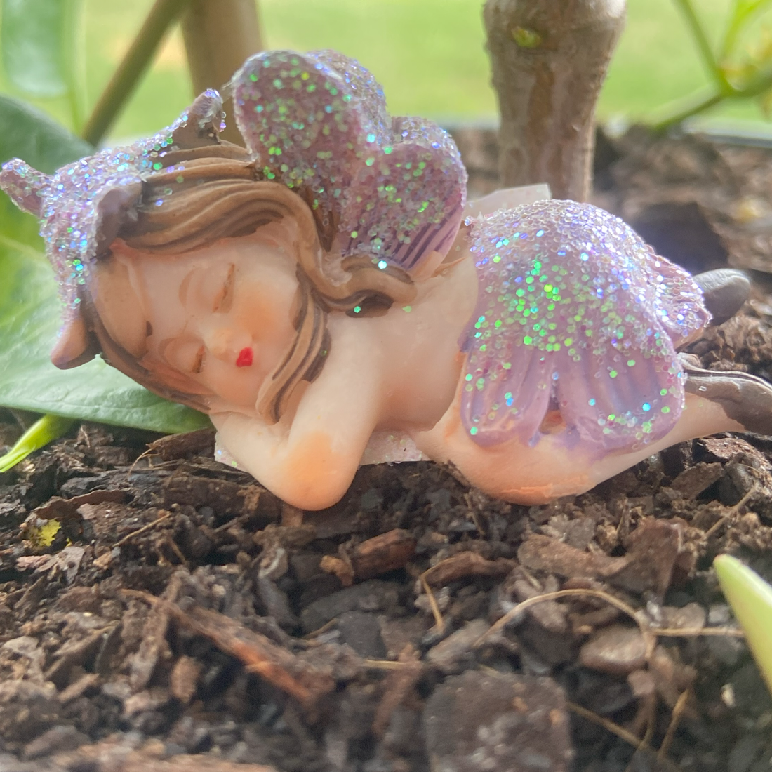 Sleeping  Fairy