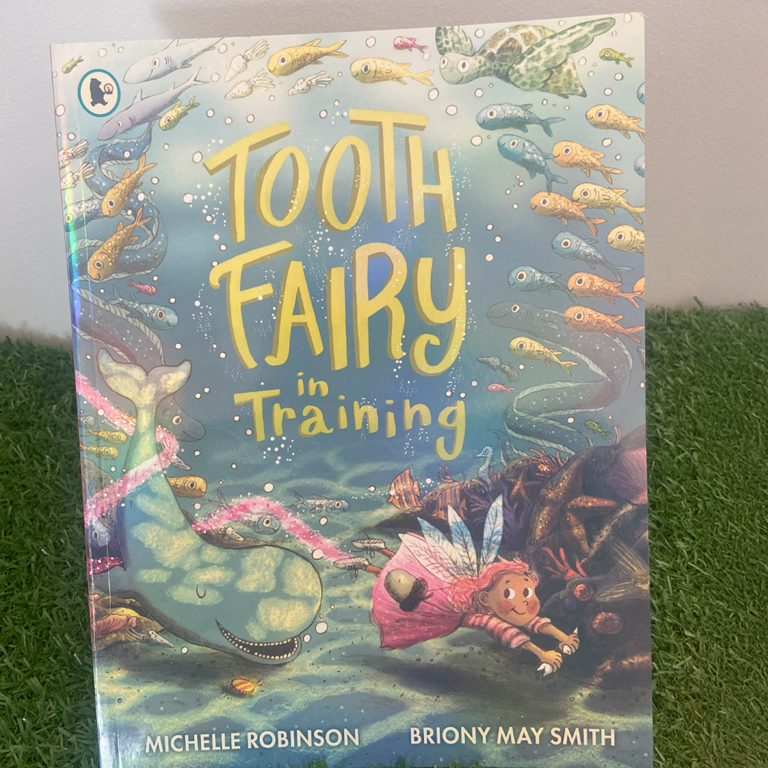 Tooth Fairy in Training Book