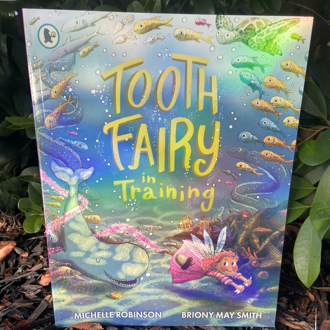 Tooth Fairy in Training Book