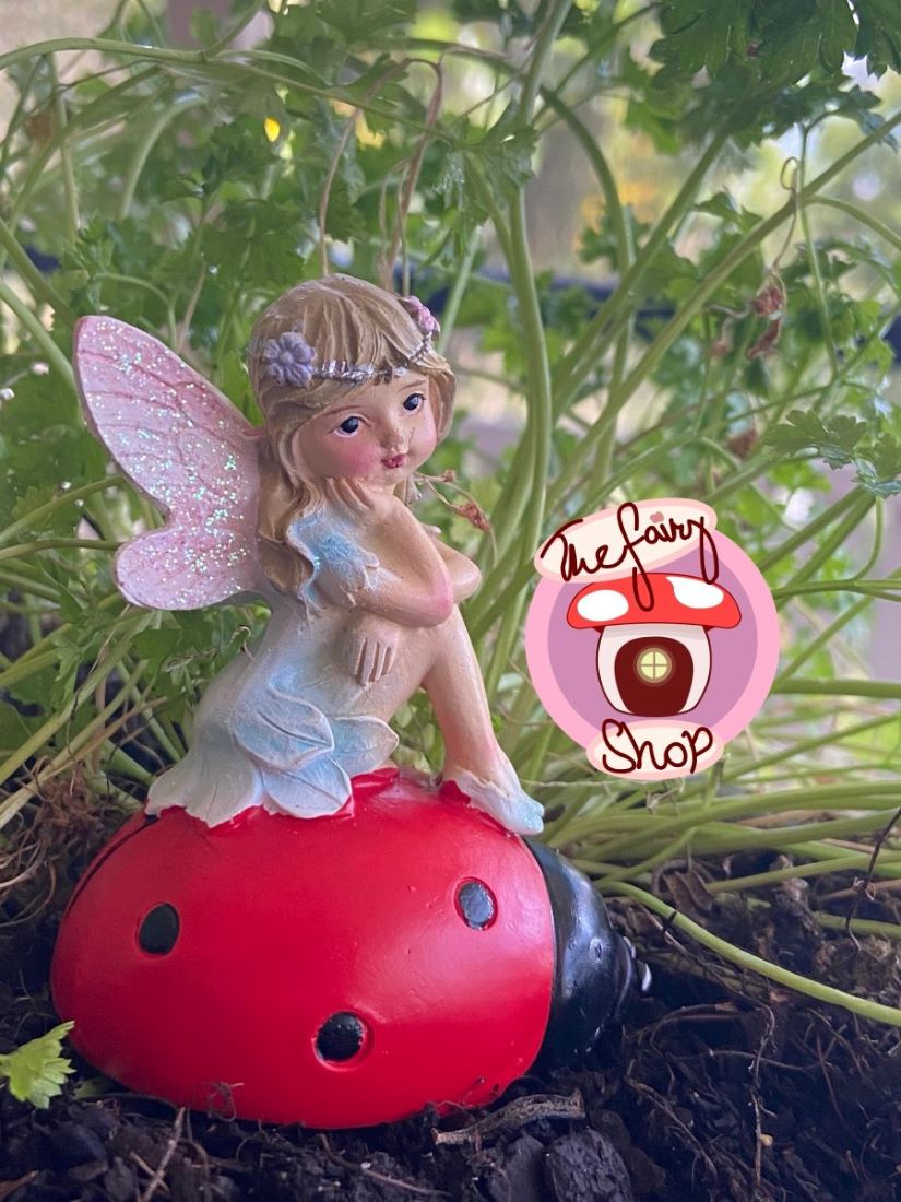 Fairy Sitting on Ladybug Figurine