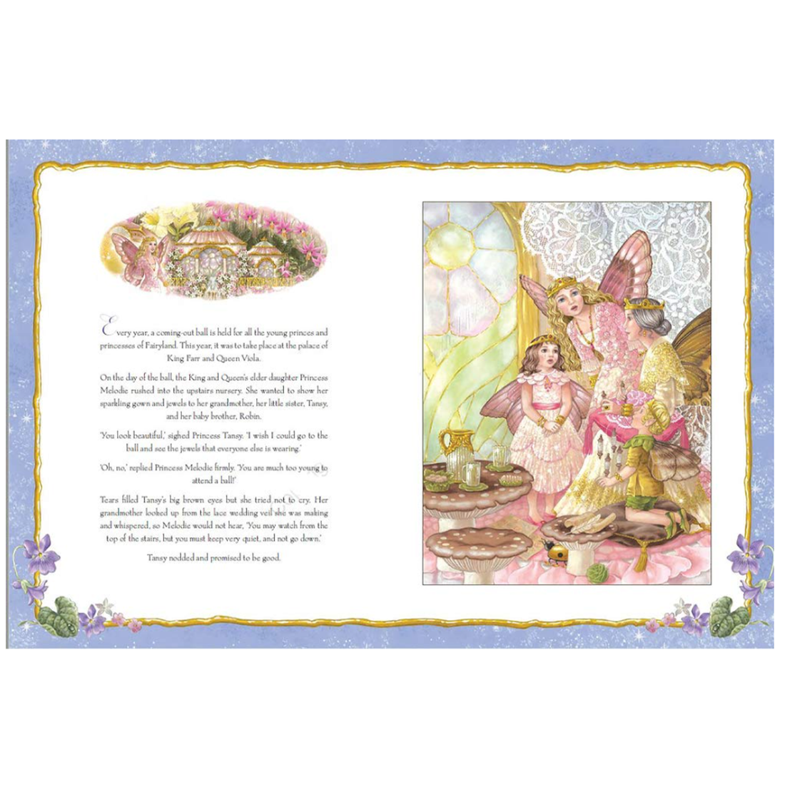 The Jewels of Fairyland Hardback Book by Shirley Barber